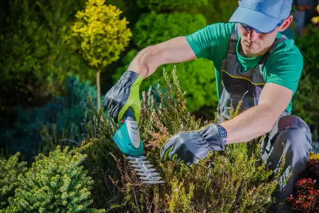 landscaping services Fort Shawnee